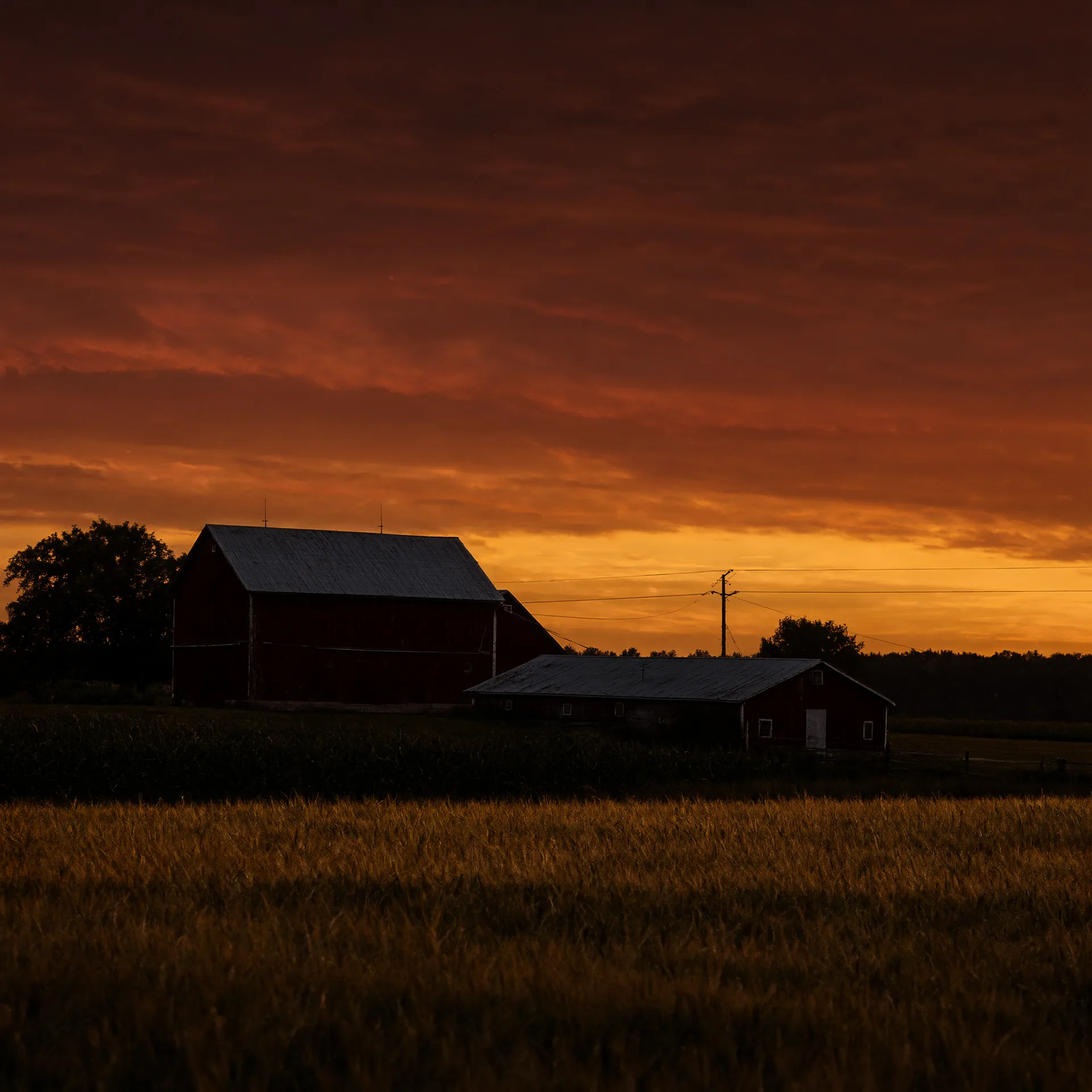 A family farm at dusk under a warm ember sky